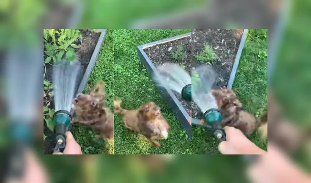 Desliza para ver los detalles del video viral publicado en Facebook. Foto: Captura.