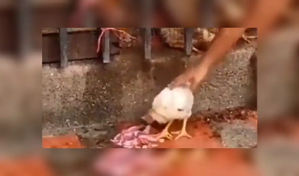 Desliza hacia la izquierda para ver más del video viral