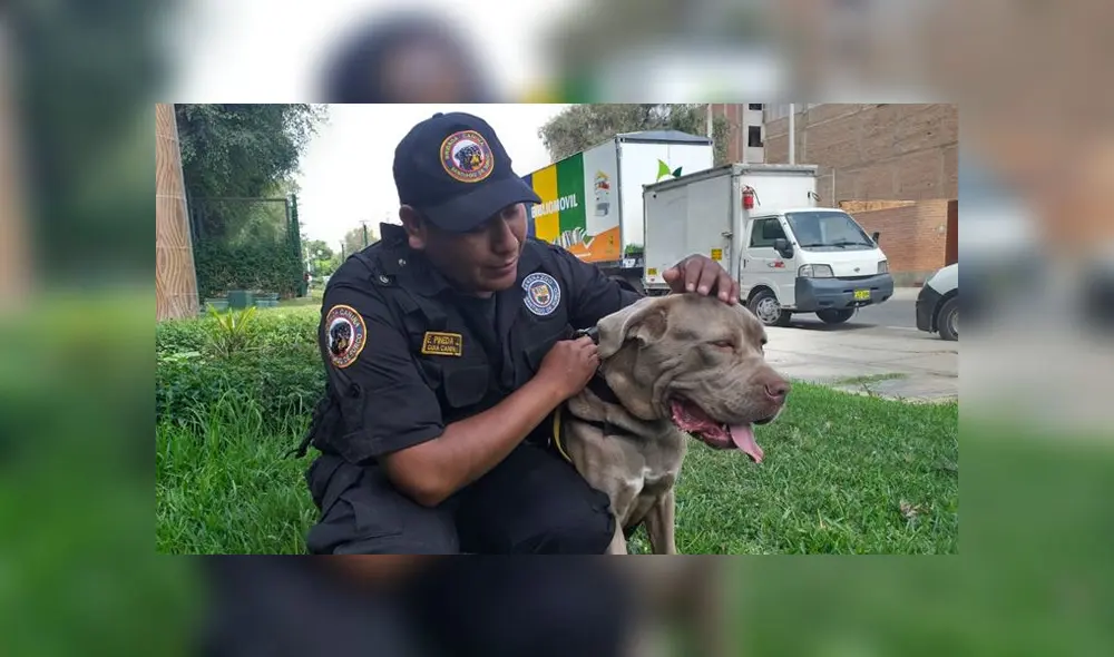La mascota fue adoptada por la comuna.