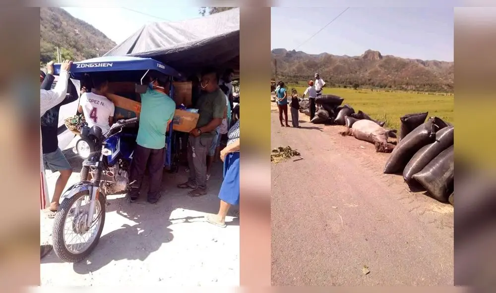 Adolescente y sus caballos mueren en accidente Adolescente y sus caballos mueren en accidente