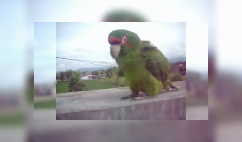 Desliza para ver los detalles del video viral que causa sensación en YouTube. Foto: Captura.