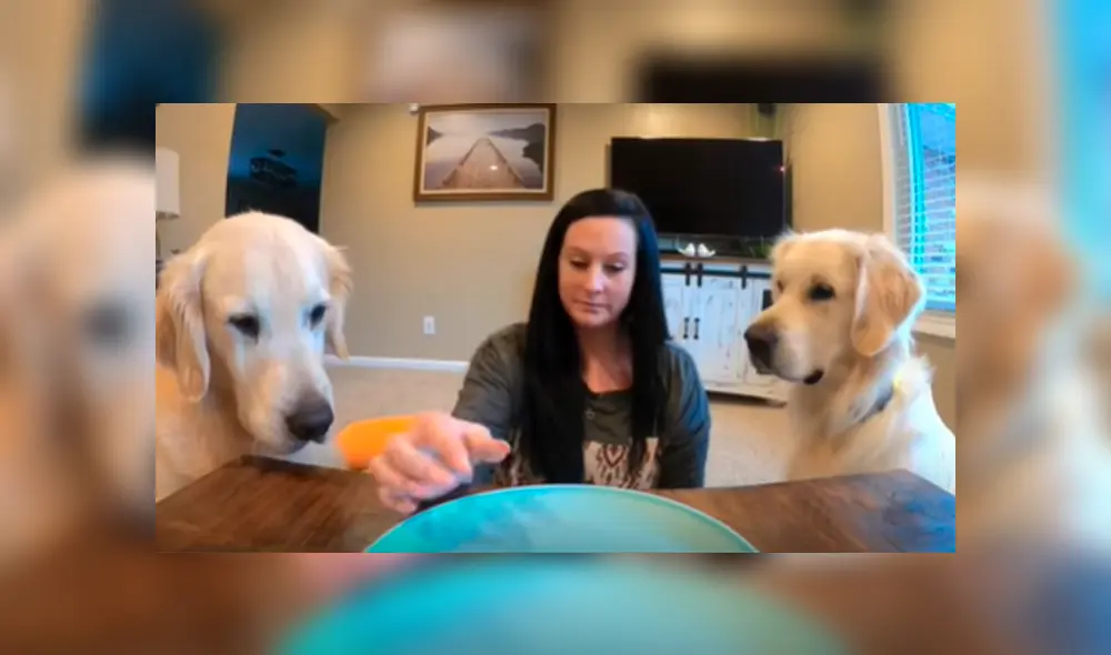 Facebook viral: mujer ‘trolea’ a sus perros con comida ‘invisible’ y estos tiene peculiar reacción al descubrir el engaño