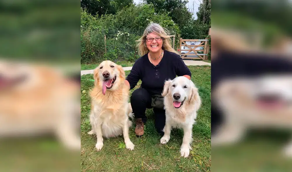 Desliza las imágenes para conocer la emotiva historia de Duncan que fue rescatado tras ser abandonado en la calle. Foto: Caters News/ Referencial Desliza las imágenes para conocer la emotiva historia de Duncan que fue rescatado tras ser abandonado en la calle. Foto: Caters News/ Referencial