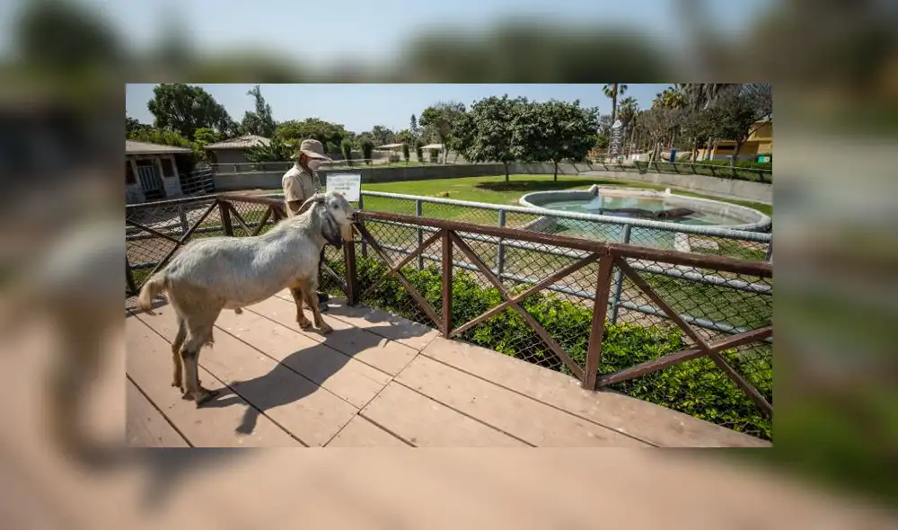 (Foto: Municipalidad de Lima)