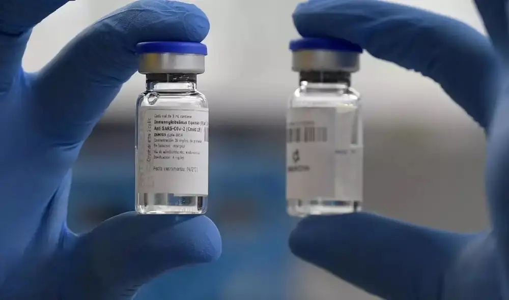 Técnica argentina de biotecnología, un suero terapéutico equino que neutralizan el virus del SARS-Cov2 'in vitro' en el Laboratorio de Inmunova, en San Martín (Argentina) el 19 de junio. Foto: AFP