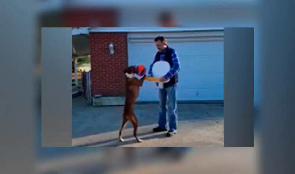 Desliza a la izquierda para ver más fotos del curioso perro jugando al básquet. (Foto: captura)