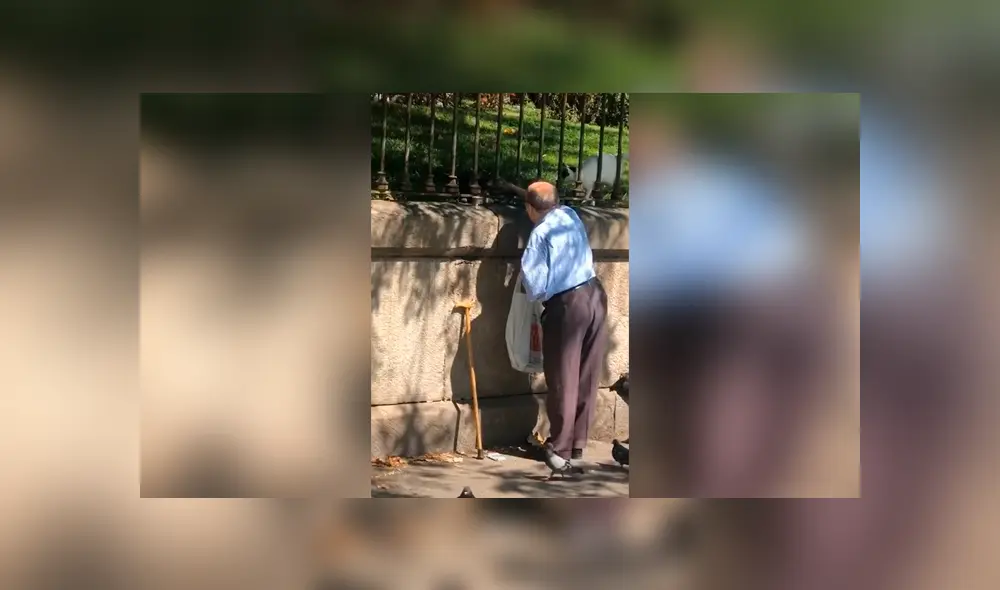 Desliza las imágenes hacia la izquierda para conocer la noble acción de un anciano al ayudar a unos indefensos gatos. Fotocaptura: Faceboook. Desliza las imágenes hacia la izquierda para conocer la noble acción de un anciano al ayudar a unos indefensos gatos. Fotocaptura: Faceboook.