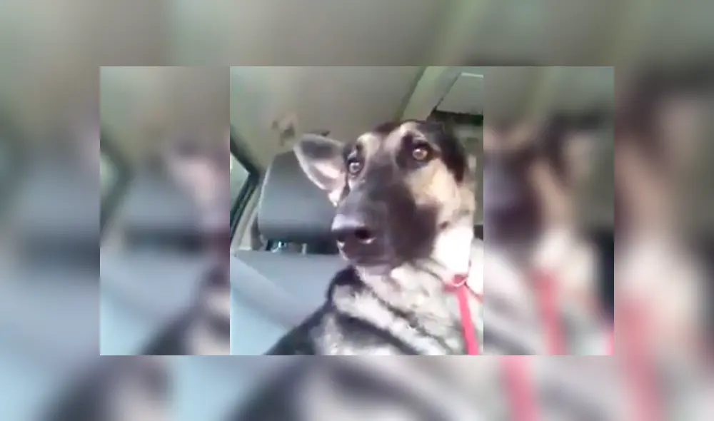 Desliza para ver los detalles del video viral de Facebook. Foto: Captura.