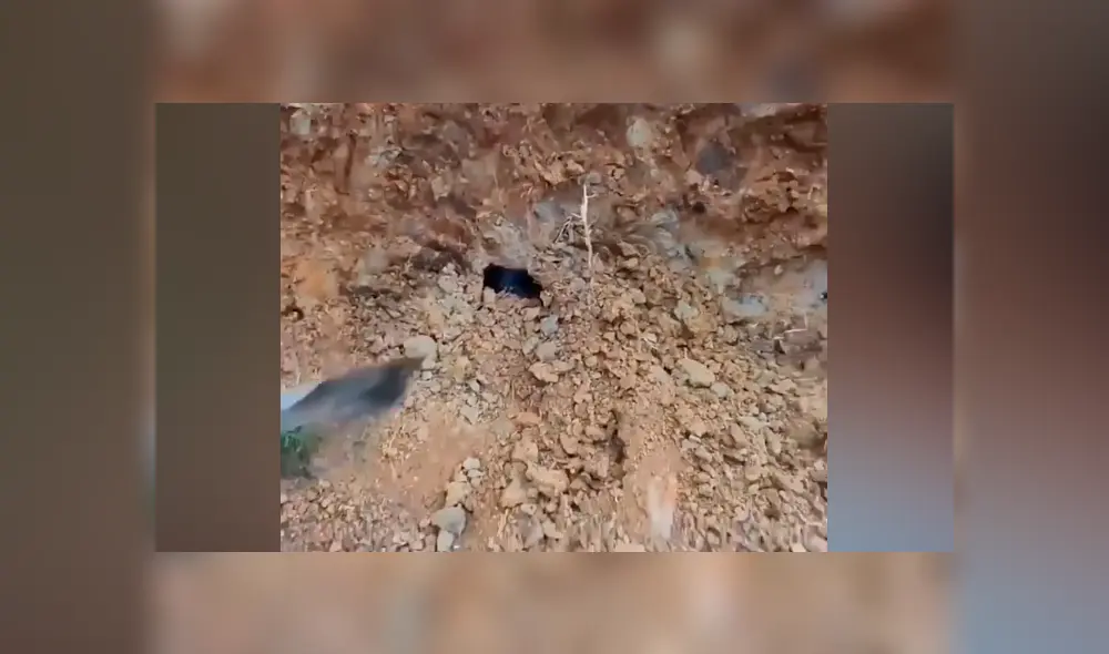 Desliza hacia la izquierda para ver las enormes serpientes dentro de un hoyo. Desliza hacia la izquierda para ver las enormes serpientes dentro de un hoyo.