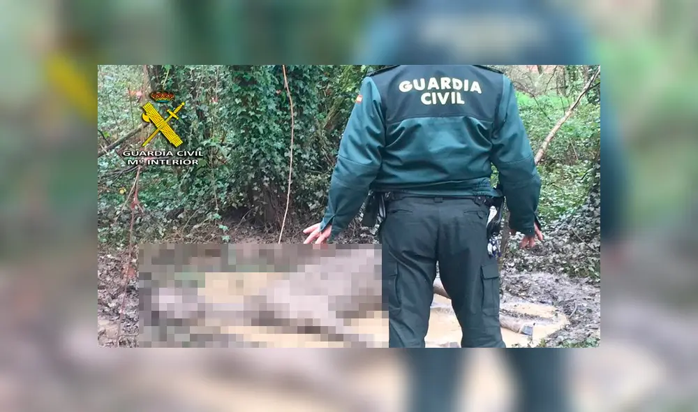 El animal fue hallado por un hombre en deplorable estado, acostado sobre un charco de barro en un monte de España. El animal fue hallado por un hombre en deplorable estado, acostado sobre un charco de barro en un monte de España.