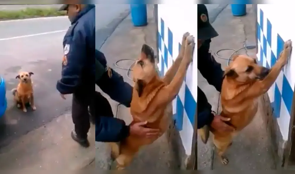 Facebook Viral: Policía inspecciona a perro como si fuera delincuente [VIDEO]