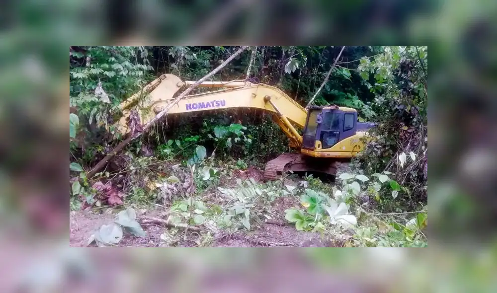 Foto: Fema/Difusión. Foto: Fema/Difusión.