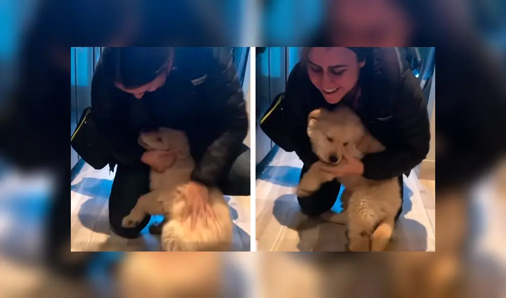 Desliza las imágenes hacia la izquierda para apreciar la emotiva escena de un perro junto a su dueña. Foto: Captura. Desliza las imágenes hacia la izquierda para apreciar la emotiva escena de un perro junto a su dueña. Foto: Captura.