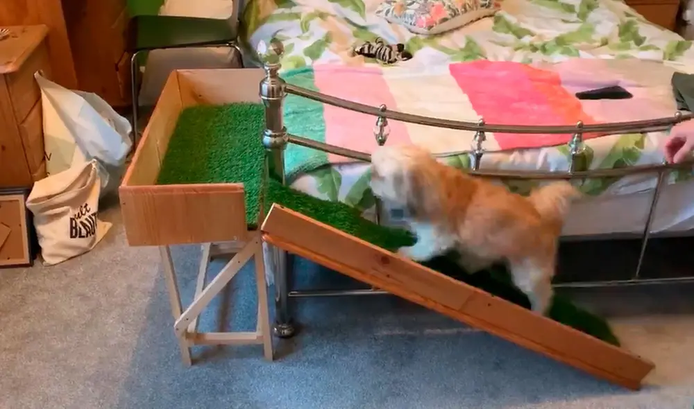 Desliza las imágenes para apreciar el tierno gesto de un señor para ayudar a la mascota de su hija. Foto: Facebook