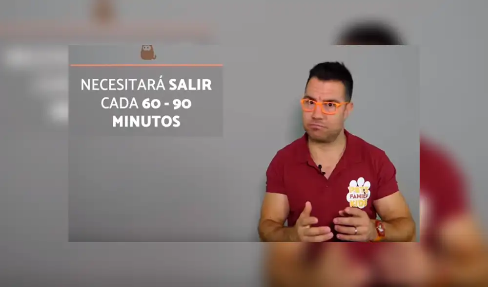 Desliza para saber los detalles de este video viral publicado en YouTube. Foto: Captura.