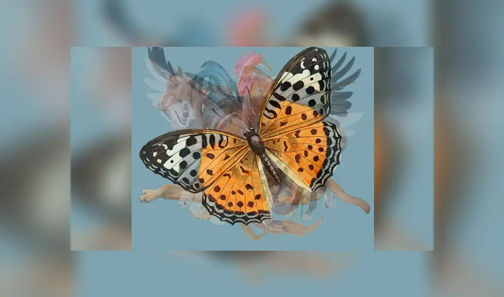 Desliza la imagen de Facebook para verlas todas. Desliza la imagen de Facebook para verlas todas.