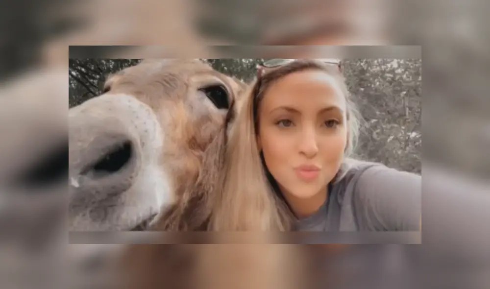 Desliza las imágenes para ver más detalles sobre este emocionante reencuentro que conmovió las redes sociales. (Foto: captura / TikTok / @_soph.xox._)