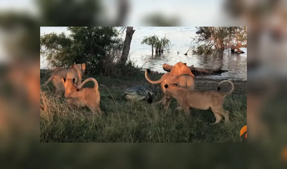 Desliza hacia la izquierda para ver las imágenes del viral de Facebook. Desliza hacia la izquierda para ver las imágenes del viral de Facebook.