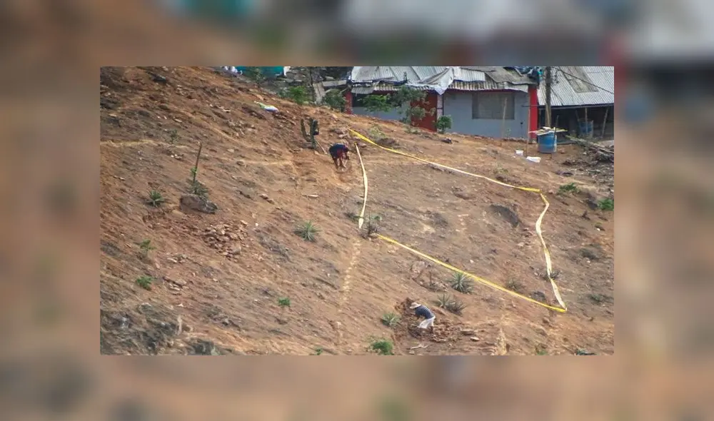 Lomas de VMT: traficantes de terrenos asesinan vizcachas [FOTOS]