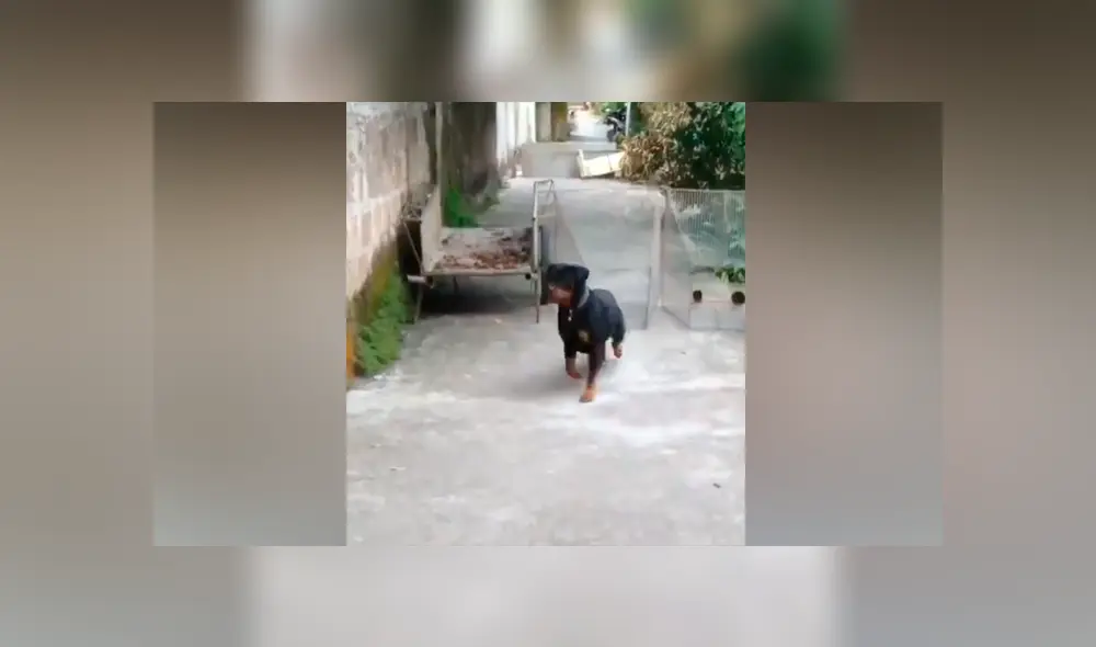 Desliza para ver los momentos más impactantes del video que se hizo viral en Facebook. Desliza para ver los momentos más impactantes del video que se hizo viral en Facebook.