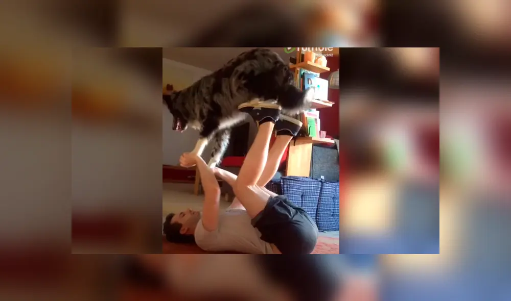 Video es viral en TikTok. El can sorprendió a todos al obedecer las órdenes de su dueño para que pueda cumplir su rutina de ejercicios. Fotocaptura: YouTube Video es viral en TikTok. El can sorprendió a todos al obedecer las órdenes de su dueño para que pueda cumplir su rutina de ejercicios. Fotocaptura: YouTube