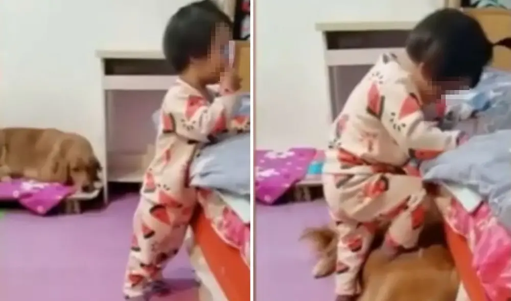 Desliza hacia la izquierda para ver más detalles sobre esta tierna escena entre una niña y su perrito. Foto: captura de YouTube