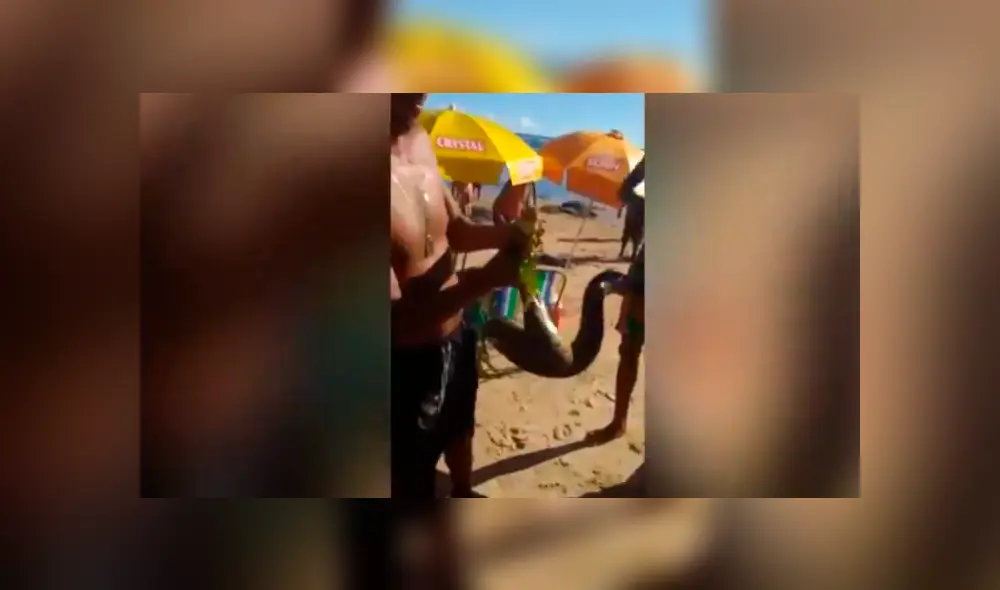 Desliza hacia la izquierda para ver a la enorme anaconda que se hizo viral en YouTube. Desliza hacia la izquierda para ver a la enorme anaconda que se hizo viral en YouTube.