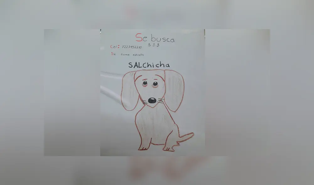 A través de Facebook se hizo viral la tierna historia de este niño y la búsqueda de su perro salchicha extraviado. A través de Facebook se hizo viral la tierna historia de este niño y la búsqueda de su perro salchicha extraviado.