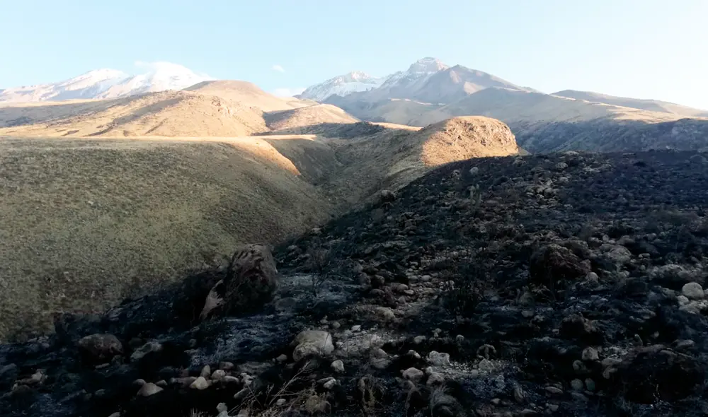 Emergencia fue controlada. Foto: difusión.