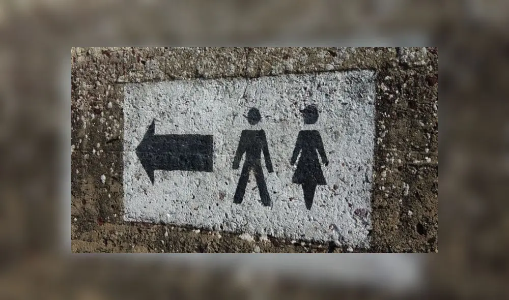 Urinarios femeninos Urinarios femeninos