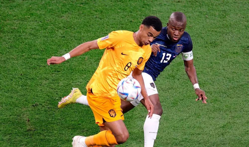 Ecuatorianos y neerlandeses se enfrentaron por la segunda fecha del grupo A del Mundial Qatar 2022. Foto: EFE