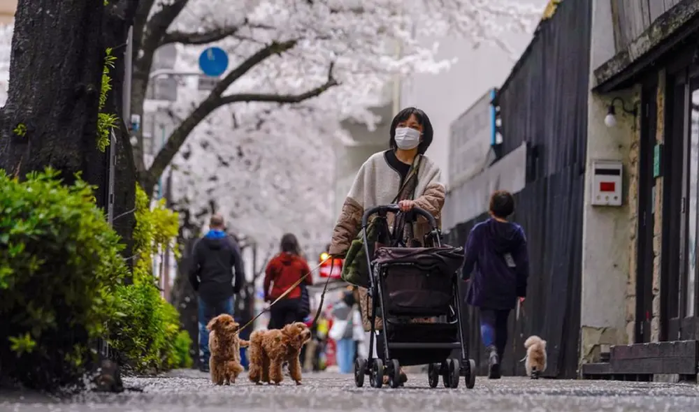 La enmienda entrará en vigor dentro de 18 meses. Foto: AP La enmienda entrará en vigor dentro de 18 meses. Foto: AP
