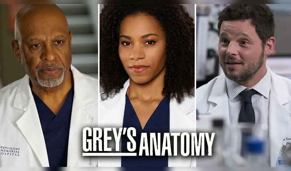 Grey's Anatomy: Personajes regresan al Grey Sloan Grey's Anatomy: Personajes regresan al Grey Sloan