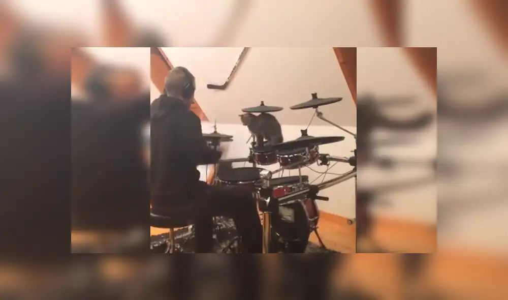 En Facebook, un travieso gato no tuvo mejor idea que molestar a su dueño mientras tocaba batería. En Facebook, un travieso gato no tuvo mejor idea que molestar a su dueño mientras tocaba batería.