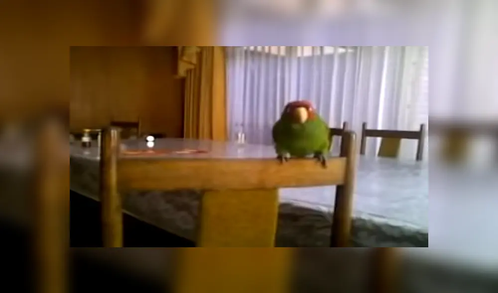 Desliza para ver los detalles del video viral publicado en Facebook. Foto: Captura. Desliza para ver los detalles del video viral publicado en Facebook. Foto: Captura.