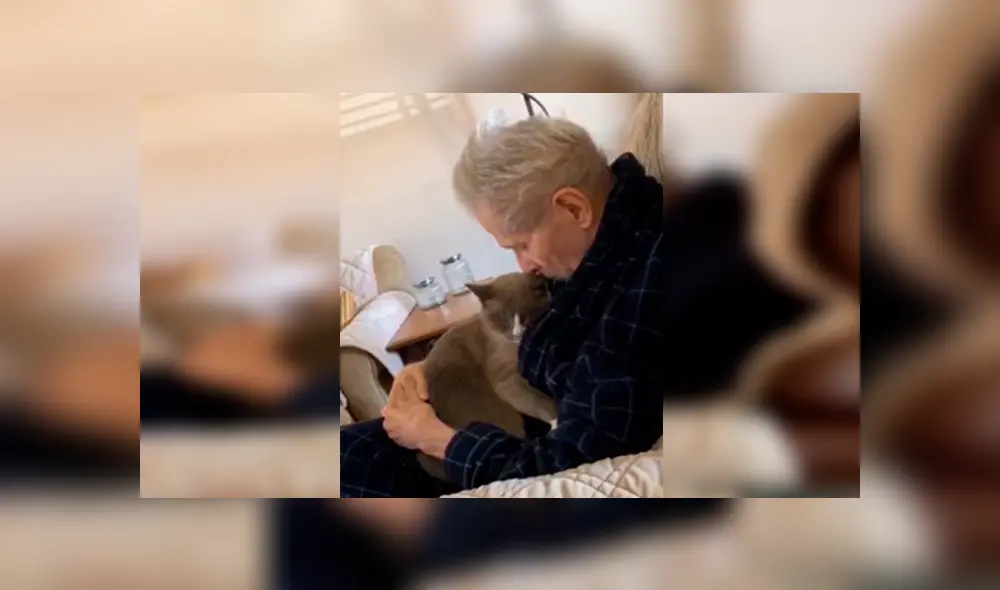 Desliza las imágenes para observar el tierno momento que protagonizó un anciano junto a un gato que lo cuidaba. Desliza las imágenes para observar el tierno momento que protagonizó un anciano junto a un gato que lo cuidaba.