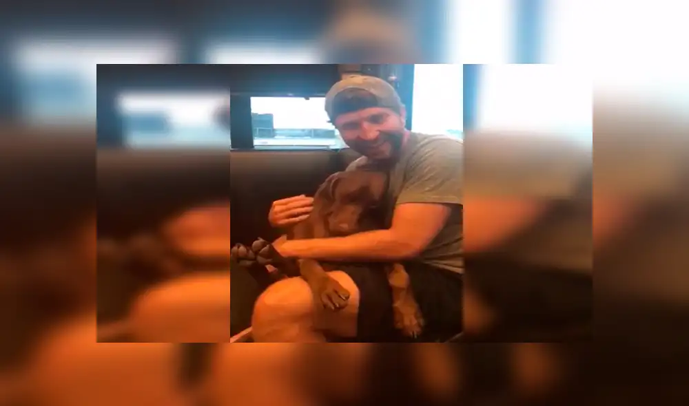 En Facebook, un joven interpreta una emotiva canción todos los días a su perro para que pueda dormir.