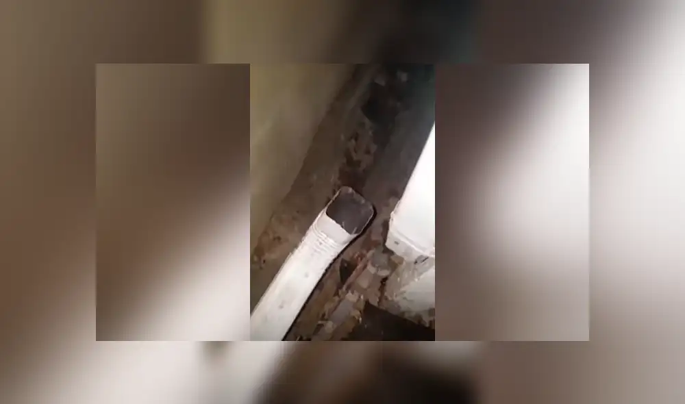 YouTube viral: escucha extraños ruidos en tubería, se asoma y descubre un extraño ‘visitante’ que genera ternura en miles YouTube viral: escucha extraños ruidos en tubería, se asoma y descubre un extraño ‘visitante’ que genera ternura en miles