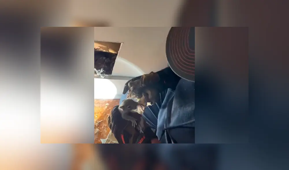 Desliza para ver todas las imágenes de Facebook. Foto: captura