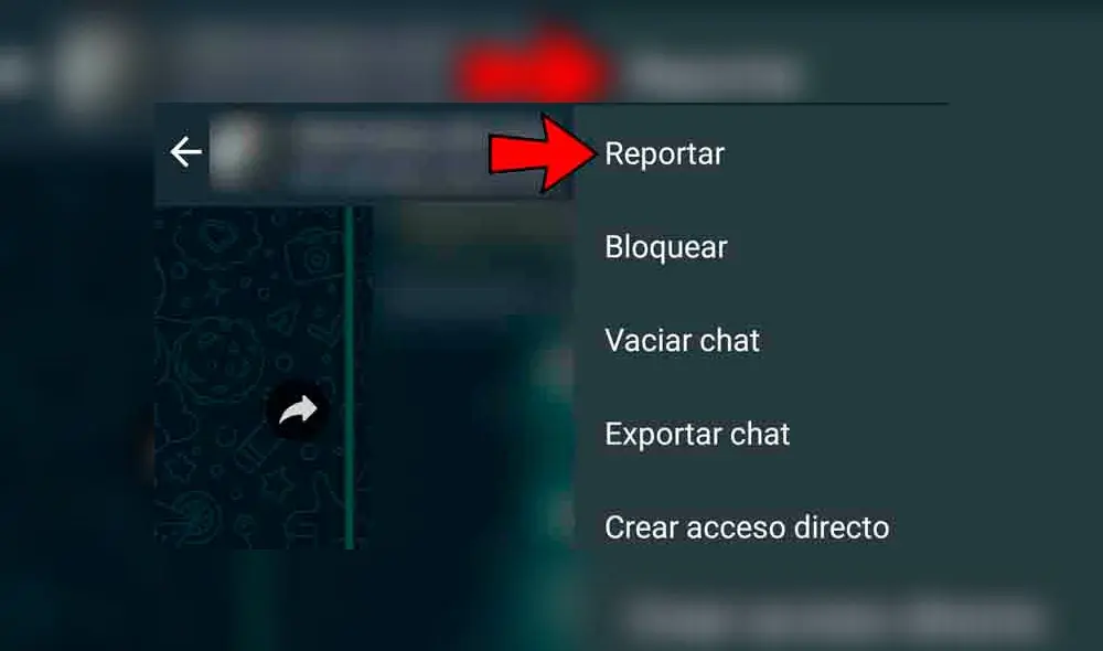 Así puedes reportar a un usuario de WhatsApp. (Fotos: captura LR)