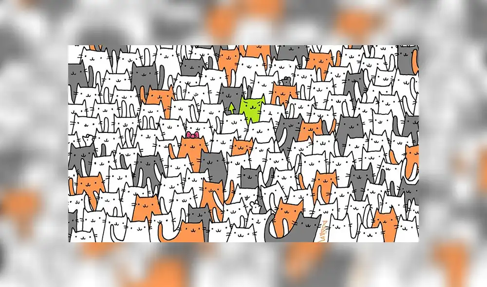 Facebook viral: halla al conejo escondido entre varios gatos, el reto visual que casi nadie puede superar Facebook viral: halla al conejo escondido entre varios gatos, el reto visual que casi nadie puede superar