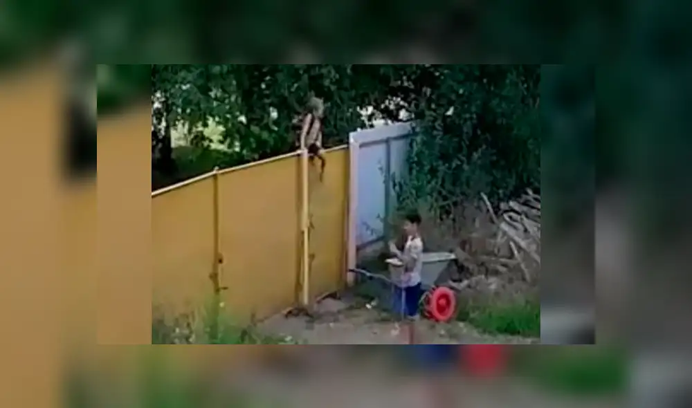 Los chicos querían el pesado objeto para jugar con él, pero no imaginaron que sería tan difícil robársela. Foto: captura.