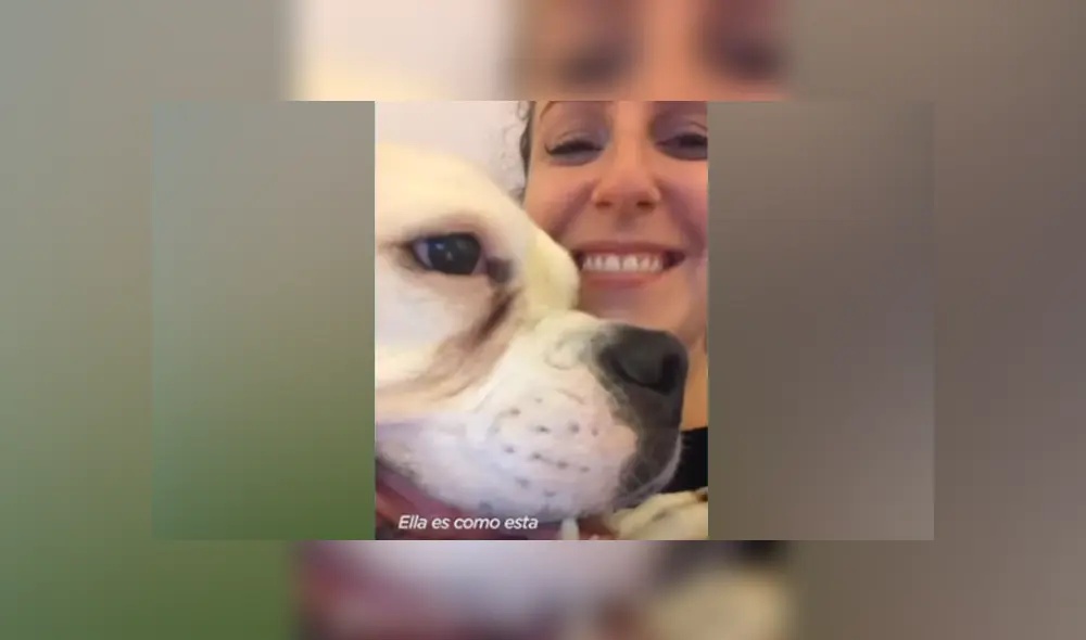 Desliza hacia la izquierda para ver las imágenes del viral de YouTube. Desliza hacia la izquierda para ver las imágenes del viral de YouTube.