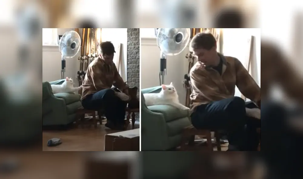 Desliza hacia la izquierda para ver las imágenes del viral de Facebook. Foto: Captura.