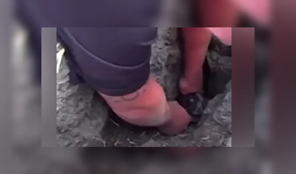 Desliza hacia la izquierda para ver el conmovedor rescate que se viralizó en Facebook.