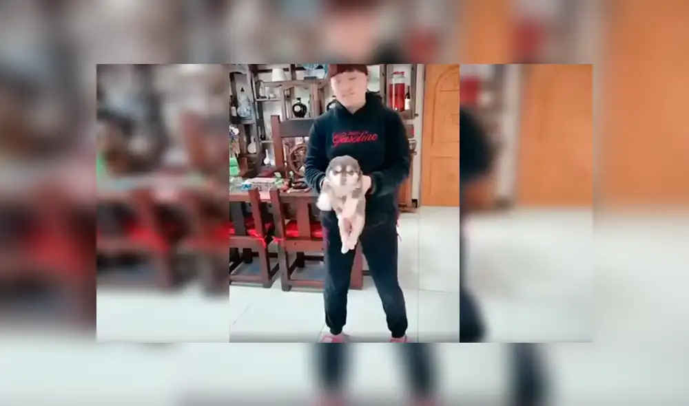 Facebook viral: grabó crecimiento de perro y su increíble tamaño de adulto sorprendió a todos [VIDEO]