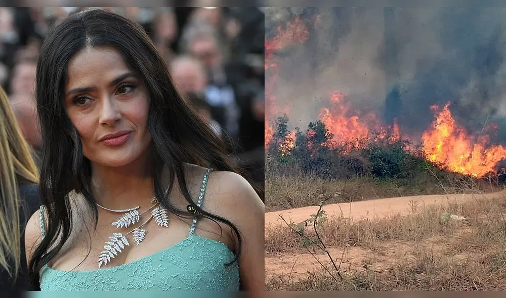 Salma Hayek sobre incendio en la Amazonía: “Participo en la reforestación” Salma Hayek sobre incendio en la Amazonía: “Participo en la reforestación”