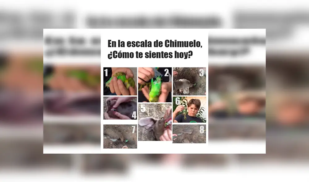 Vía Facebook: divierte con la mejor selección de memes de 'Adiós Chimuelo', el video del momento [FOTOS]