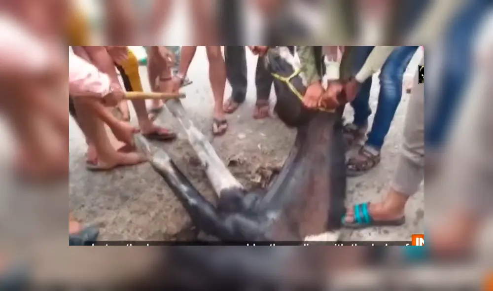 La operación de rescate duró alrededor de una hora. Foto: IndiaTv / YouTube La operación de rescate duró alrededor de una hora. Foto: IndiaTv / YouTube