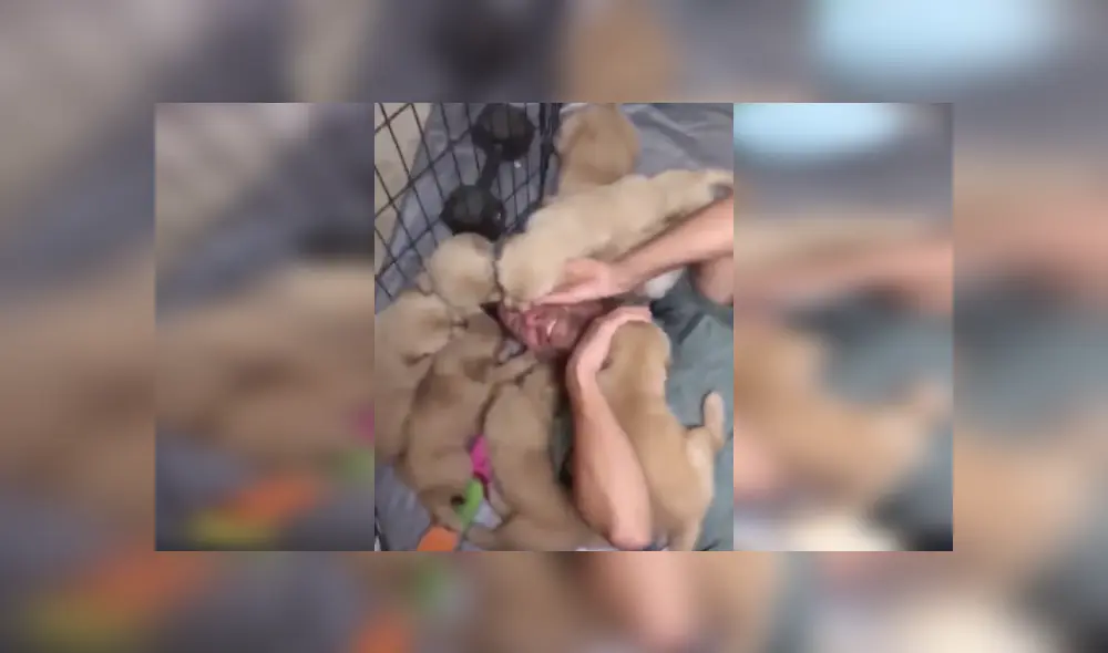 Desliza las imágenes para ver más detalles de esta tierna escena que es viral en Facebook. Desliza las imágenes para ver más detalles de esta tierna escena que es viral en Facebook.